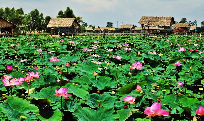 Du xuân miền Tây: Sài Gòn - Đồng Tháp - Châu Đốc - Cần Thơ - Tiền Giang - Bến Tre 3 ngày 2 đêm