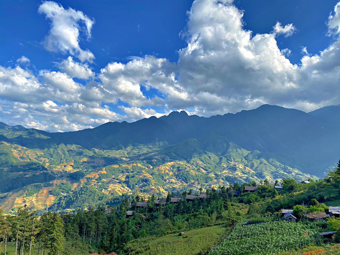 Du Lịch Xuyên Việt: Sài Gòn - Hội An - Đà Nẵng - Đồng Hới - Huế - Hạ Long - Sapa - Hà Nội 11 Ngày