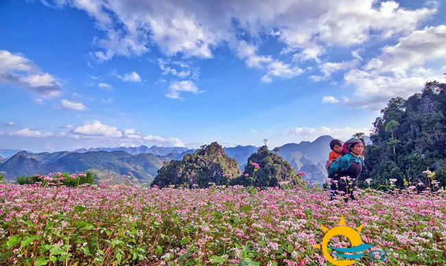 Du lịch Hà Giang - Lũng Cú - Đồng Văn - Mèo Vạc 4 ngày 3 đêm